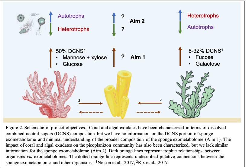 NSF_Fig2_Feb19