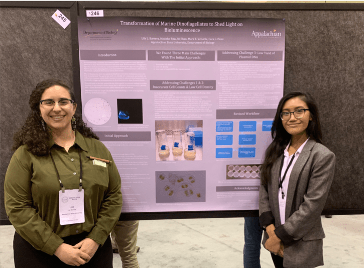 Presenting research at ASB 2019